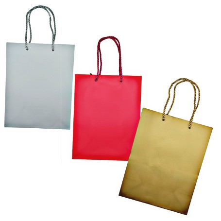 BOLSA DE REGALO CH 24X18 $15