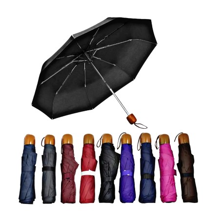 PARAGUAS CHICO LISO $60