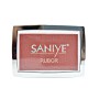 RUBOR SANIYE TIPO DIOR $45