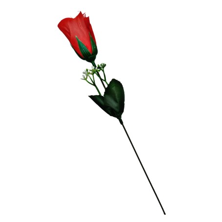 ROSA DE SAN VALENTIN $10