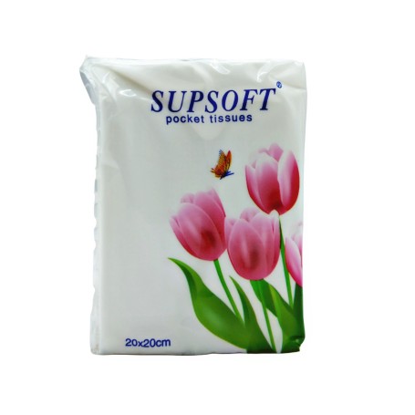 PAÑUELOS DESECHABLES MINI $5