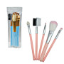 SET DE BROCHAS SENCILLO $30