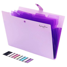 CARPETA ORGANIZADORA $65