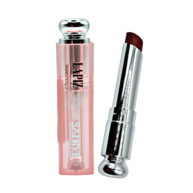 LAPIZ LABIAL TIPO DIOR SANIYE $40